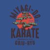 Miyagi Do Karate Hoodie Official Karate Merch