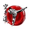 Karate Tapestry Official Karate Merch