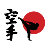 Karate Throw Pillow Official Karate Merch