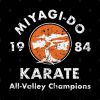 Miyagi Do Karate Throw Pillow Official Karate Merch